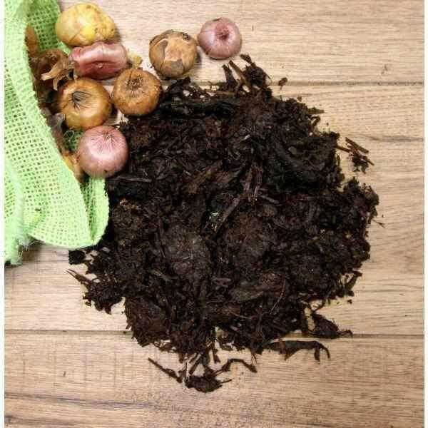 Dandy's Wintermix Compost | Dandys