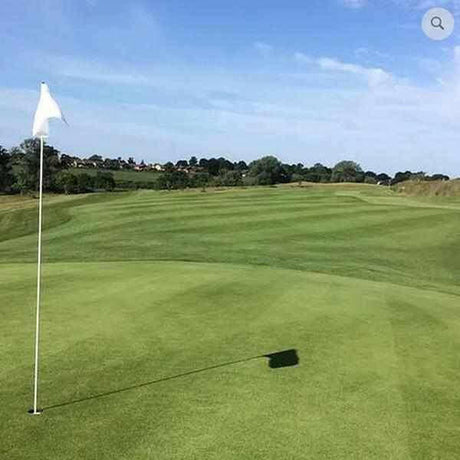 Fescue / Bent Grass Seed mix - for Golf Greens | Dandys