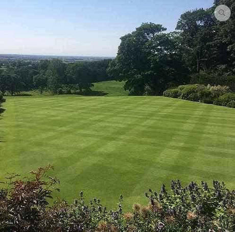 Fine Lawn Grass Seed | Dandys