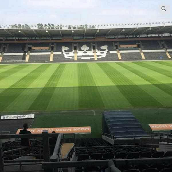 Football/Rugby 100% Ryegrass Grass Seed | Dandys