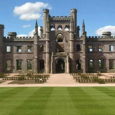 General Landscaping Grass Seed | Dandys