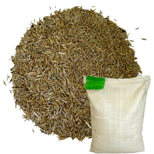 Dandy's Hardwearing Grass Seed 2kg sack