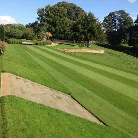 Heavy Duty Grass Seed | Dandys