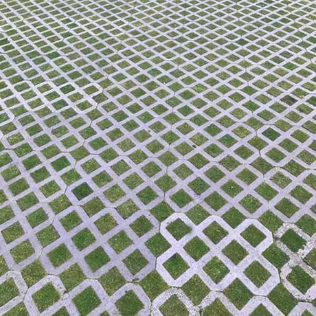 Hexipath Gridding Grass Seed | Dandys