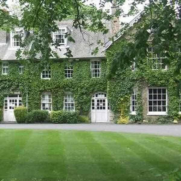 Low Maintenance Grass Seed | Dandys