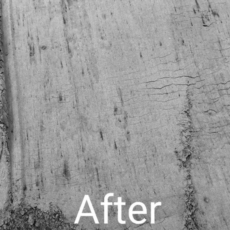 TurfSand Mix Sample - Dandy's Topsoil & Landscape Supplies