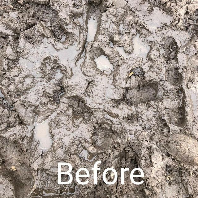 TurfSand Mix Sample - Dandy's Topsoil & Landscape Supplies