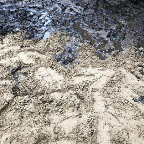 TurfSand Mix Sample - Dandy's Topsoil & Landscape Supplies