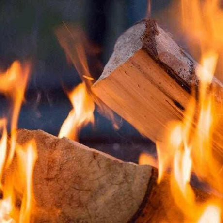 Softwood Kiln Dried Logs Nets | Dandys