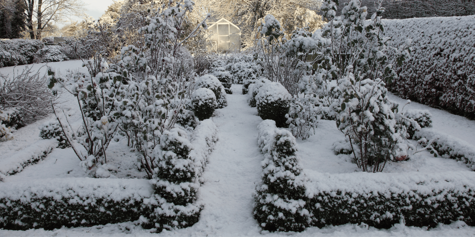 End of January Gardening: Preparing for Spring and Planting Winter Vegetables - Dandy's Topsoil & Landscape Supplies