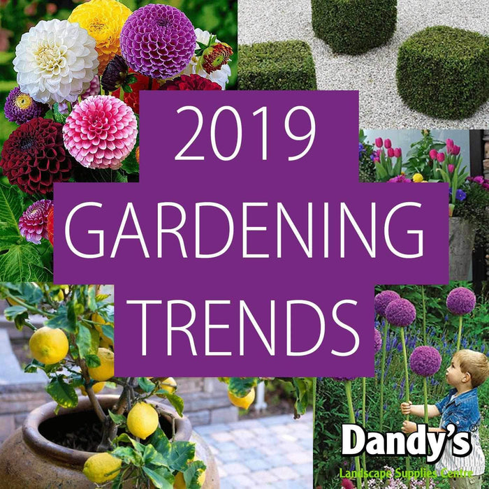 2019 Gardening Trends