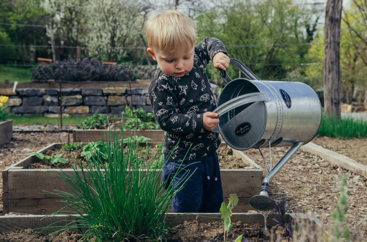 Dandy's Free Step By Step Guide to building a raised bed