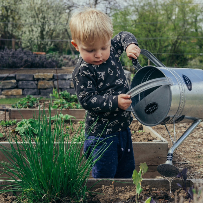 FREE! Step-by-step guide to building a veggie raised bed