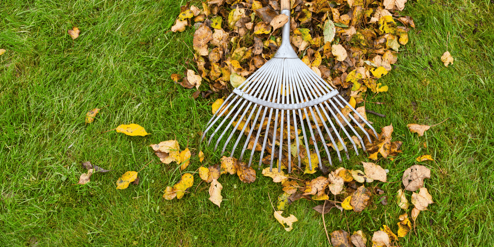 Autumn Gardening - Dandy's Topsoil & Landscape Supplies