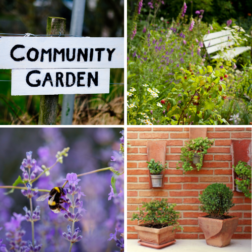 2023 Gardening Trends