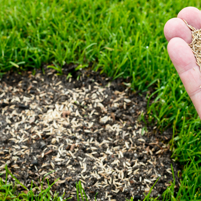 Is your garden ready for Autumn?