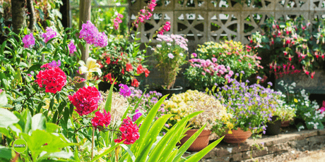 Hello July: Essential Garden Tasks for a Thriving UK Garden - Dandy's Topsoil & Landscape Supplies