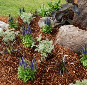 Which Bark do I need for my garden? - Dandy's Topsoil & Landscape Supplies