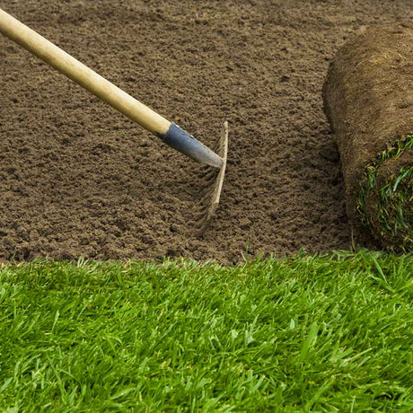 How To Repair Your Lawn After Summer - Dandy's Topsoil & Landscape Supplies
