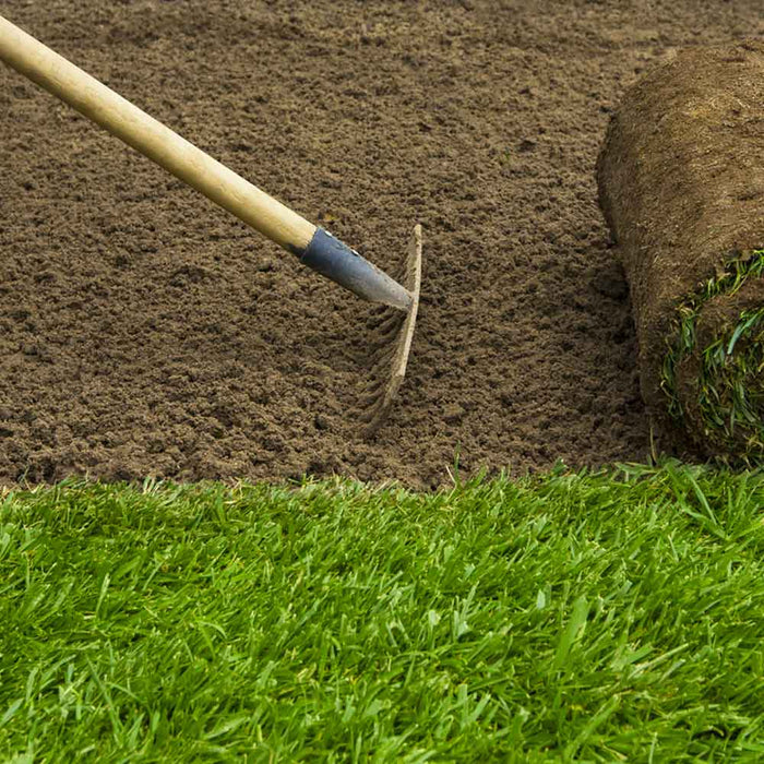 How To Repair Your Lawn After Summer