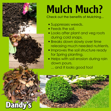 Dandy's Bark Mulch