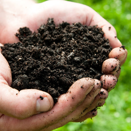 What is Top Soil?
