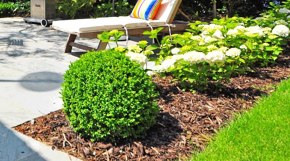 A Dandy Makeover... - Dandy's Topsoil & Landscape Supplies