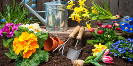 Dandy's Pre-Season Gardening Tips for Spring