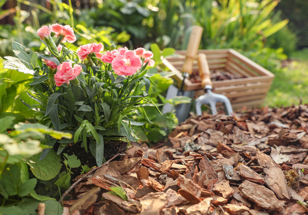 How to Guide: DIY Raised Beds and Borders