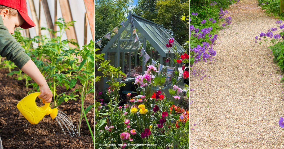 Dandy's Blog - End of Spring to Start of Summer Gardening Guide