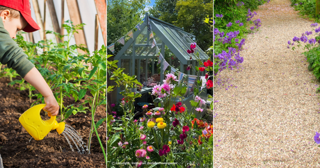 Dandy's Blog - End of Spring to Start of Summer Gardening Guide