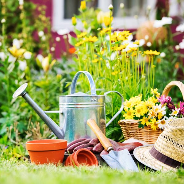 Get your garden summer ready...