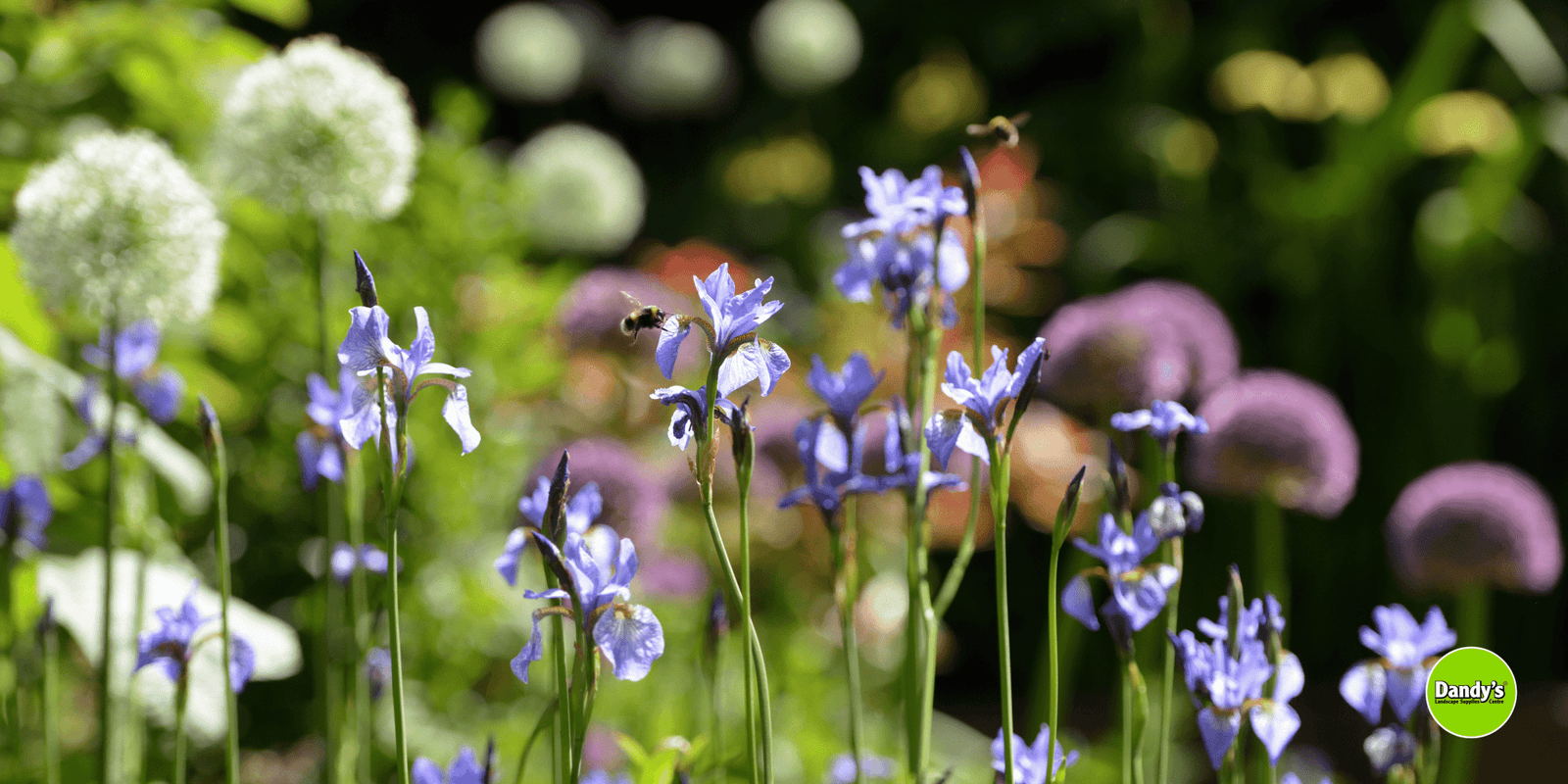 May Magic: May Gardening To-Do List - Dandy's Topsoil & Landscape Supplies