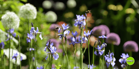 May Magic: May Gardening To-Do List - Dandy's Topsoil & Landscape Supplies