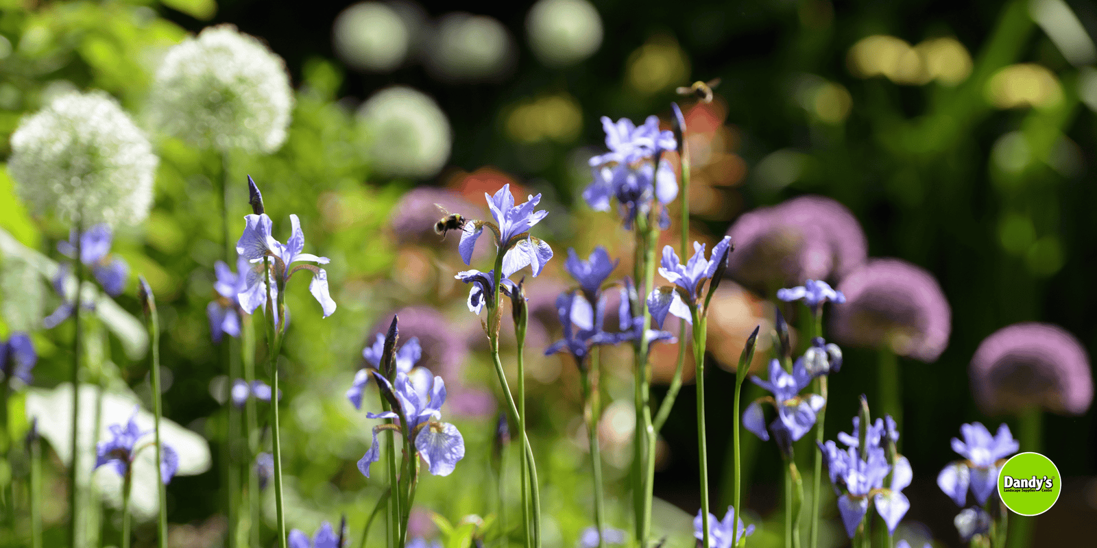 May Magic: May Gardening To-Do List - Dandy's Topsoil & Landscape Supplies