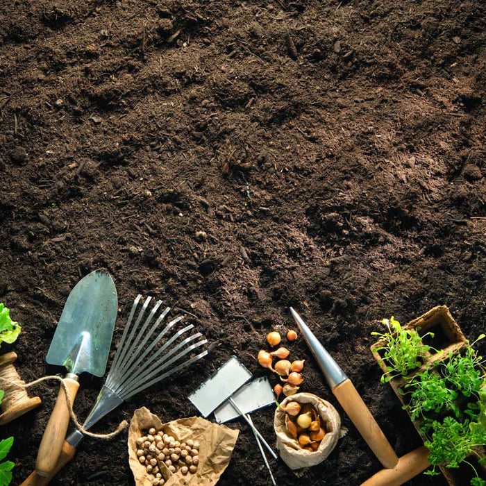 How to "Grow Your Own" Fruit and Vegetables...