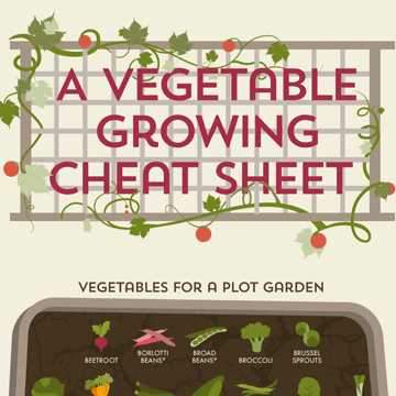 Vegetable Growing Cheat Sheet