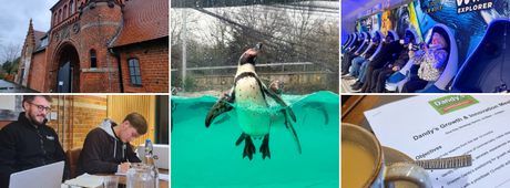 Dandy's Brainstorming Day at Chester Zoo.