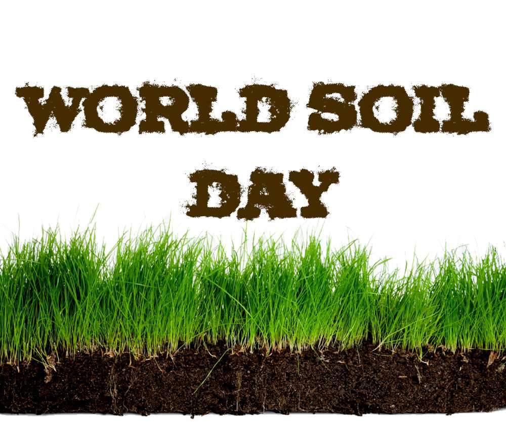 World Soil Day 2017...