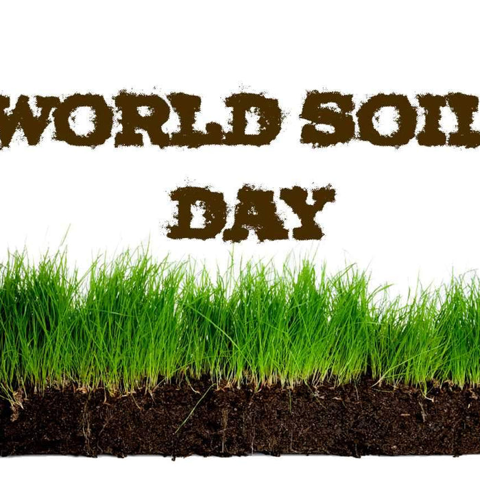 World Soil Day 2017...