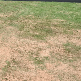 Garden Lawn Care and Drainage - Dandy's Topsoil & Landscape Supplies 