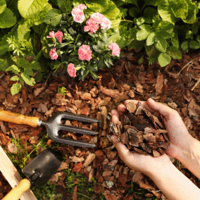 Dandys Bark Chippings and Garden Mulch