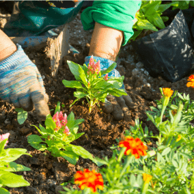 Essentials Range by Dandys Nationwide Landscape Supplies
