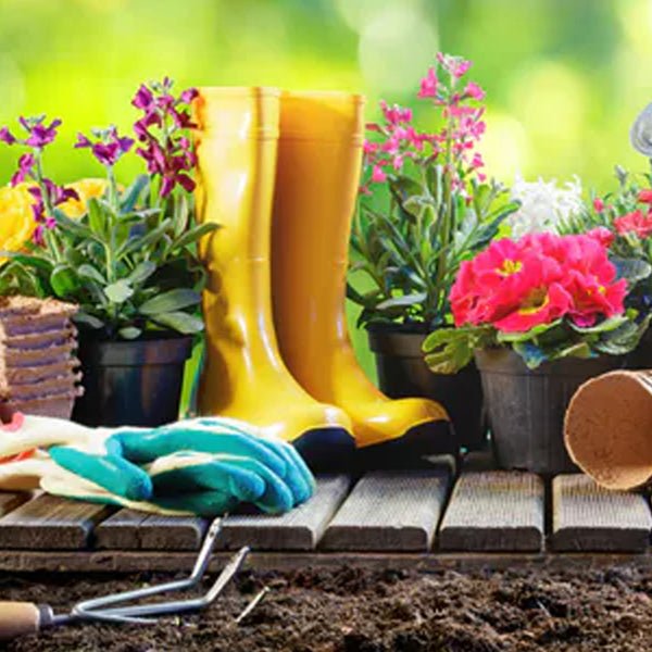 Spring Gardeining Spring Gardening Products By Dandy's – Dandy's Topsoil & Landscape Supplies