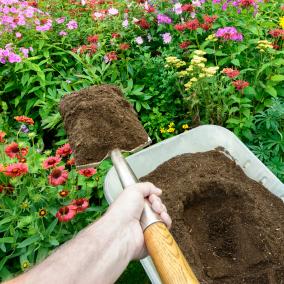 Dandy's Topsoil & Compost