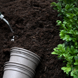 Multi Purpose Welsh Compost
