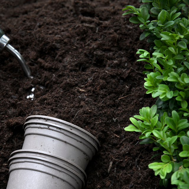 Multi Purpose Welsh Compost