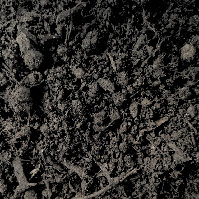 Multi Purpose Welsh Compost