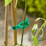 15cm SofTies 50 Pack, Soft Plant Ties for Delicate Stems and Support - Dandys Landscape Supplies