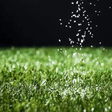 Sports Sand Dressing - Dandy's Topsoil & Landscape Supplies